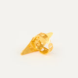 Anillo Étnico Llarg
