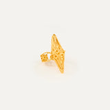 Anillo Étnico Llarg