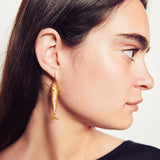 Pendientes Posidonio